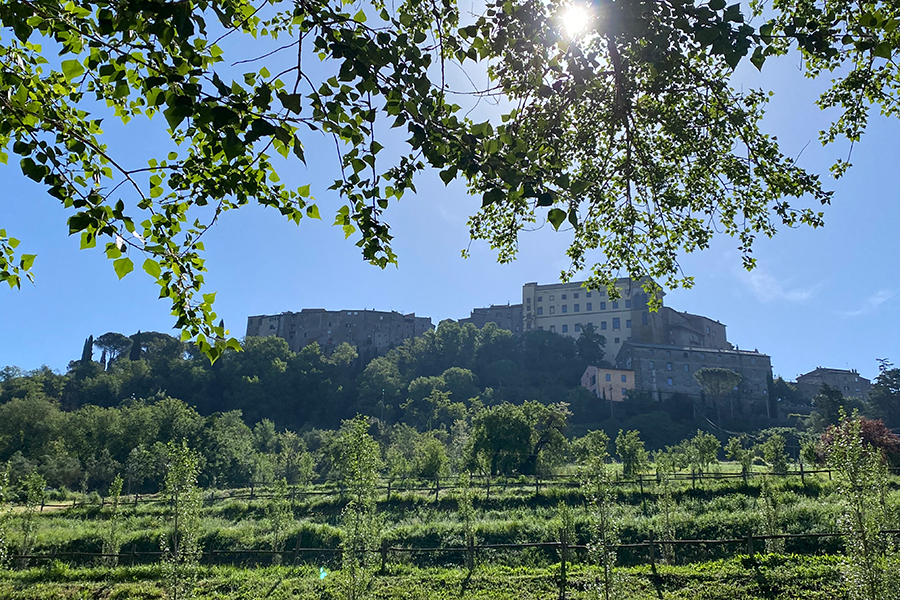 artinvistaguideviterbo.com Maddalena Marton Guida Turistica.