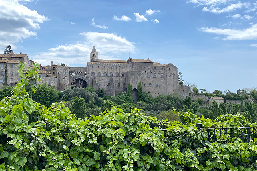 artinvistaguideviterbo.com Maddalena Marton Guida Turistica