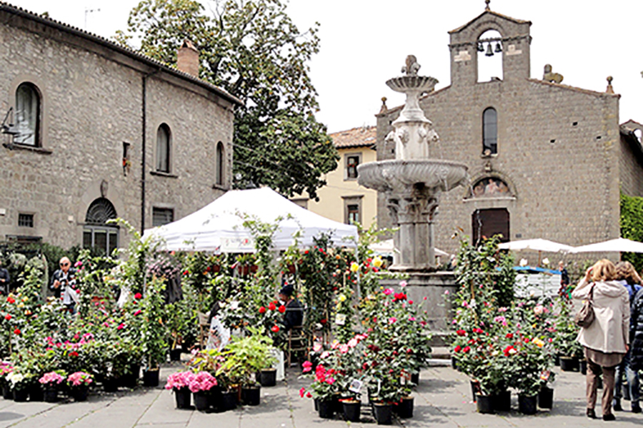 artinvistaguideviterbo.com Maddalena Marton Guida Turistica