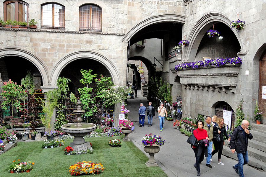 artinvistaguideviterbo.com Maddalena Marton Guida Turistica